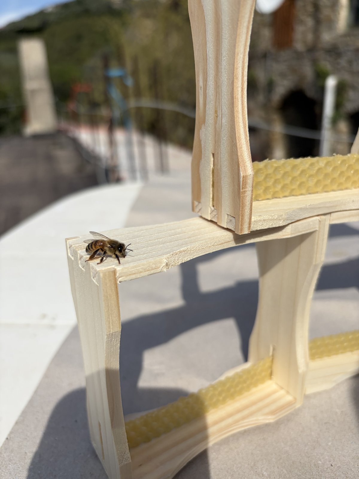 Ape su telaino in costruzione